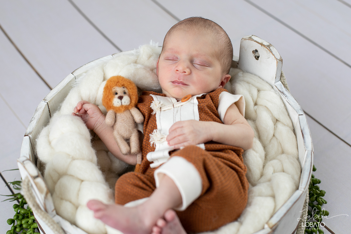 ensaio-fotografico-de-recem-nascido-ensaio-newborn-bebe-recem-nascido-sono-do-bebe-acompanhamento-fotografico-infantil-cenario-de-newborn-fundo-fotografico-para-ensaio-newborn-fotografa-especialista-em-ensaio-newborn-isabela-lobato-fotografia-barbacena-mg