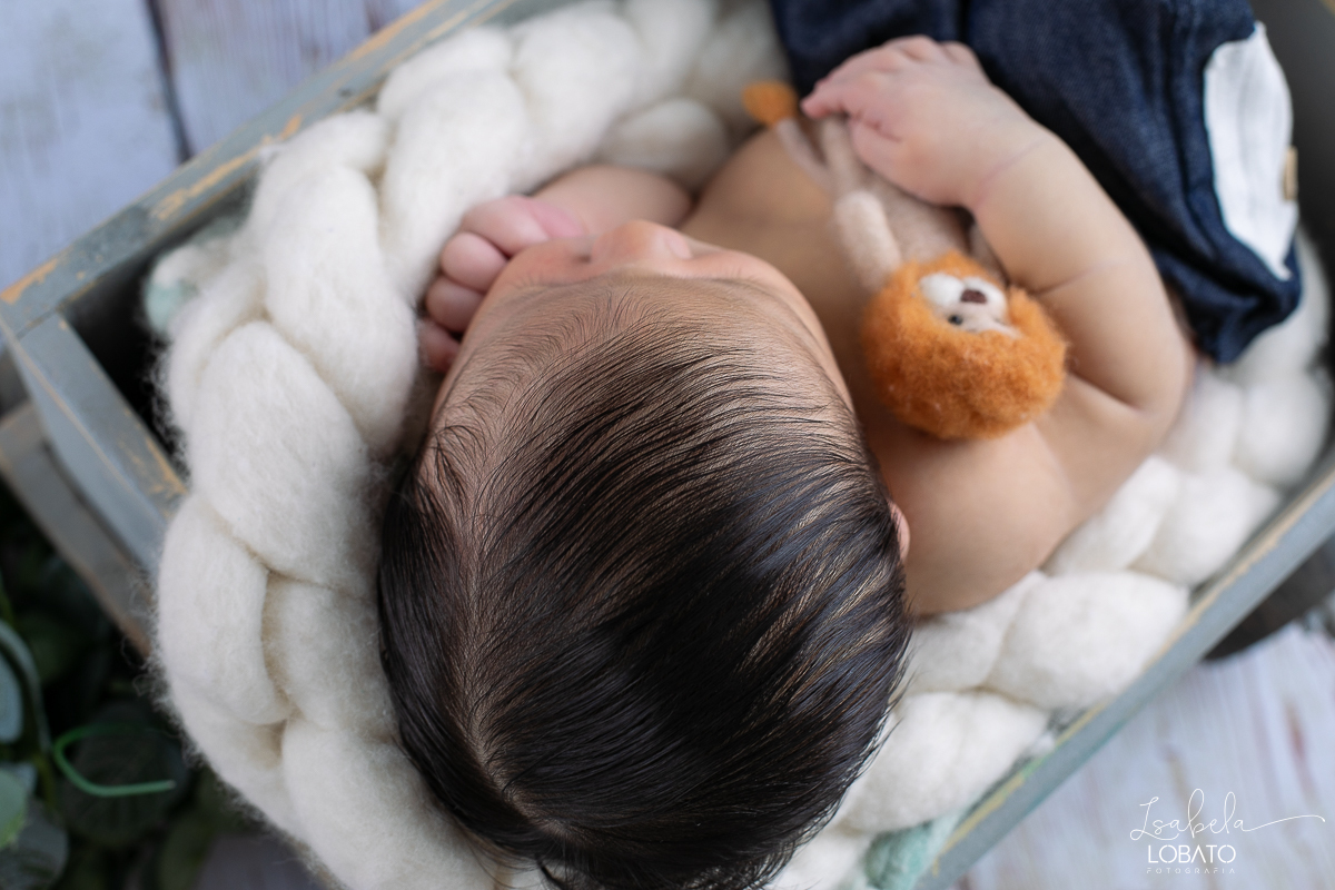 ensaio-fotografico-de-recem-nascido-ensaio-newborn-bebe-recem-nascido-sono-do-bebe-acompanhamento-fotografico-infantil-cenario-de-newborn-fundo-fotografico-para-ensaio-newborn-fotografa-especialista-em-ensaio-newborn-isabela-lobato-fotografia-barbacena-mg