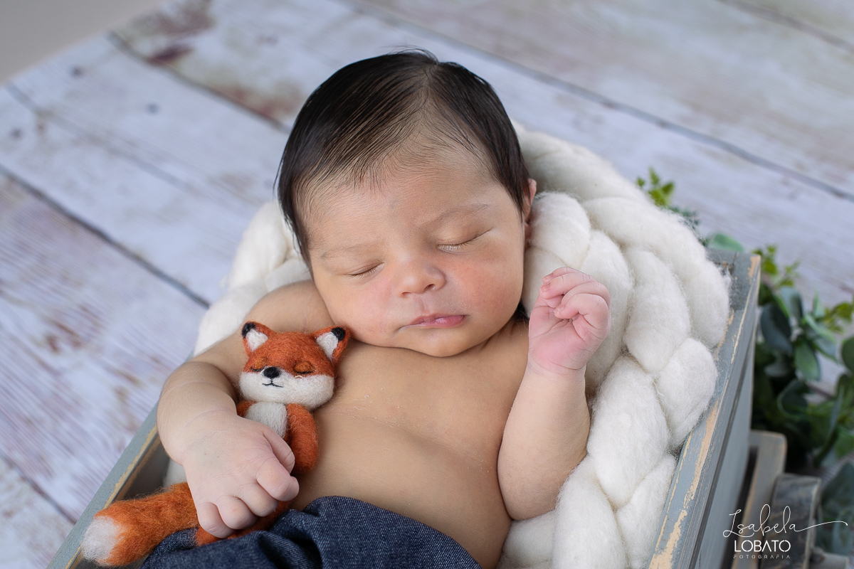 ensaio-fotografico-de-recem-nascido-ensaio-newborn-bebe-recem-nascido-sono-do-bebe-acompanhamento-fotografico-infantil-cenario-de-newborn-fundo-fotografico-para-ensaio-newborn-fotografa-especialista-em-ensaio-newborn-isabela-lobato-fotografia-barbacena-mg