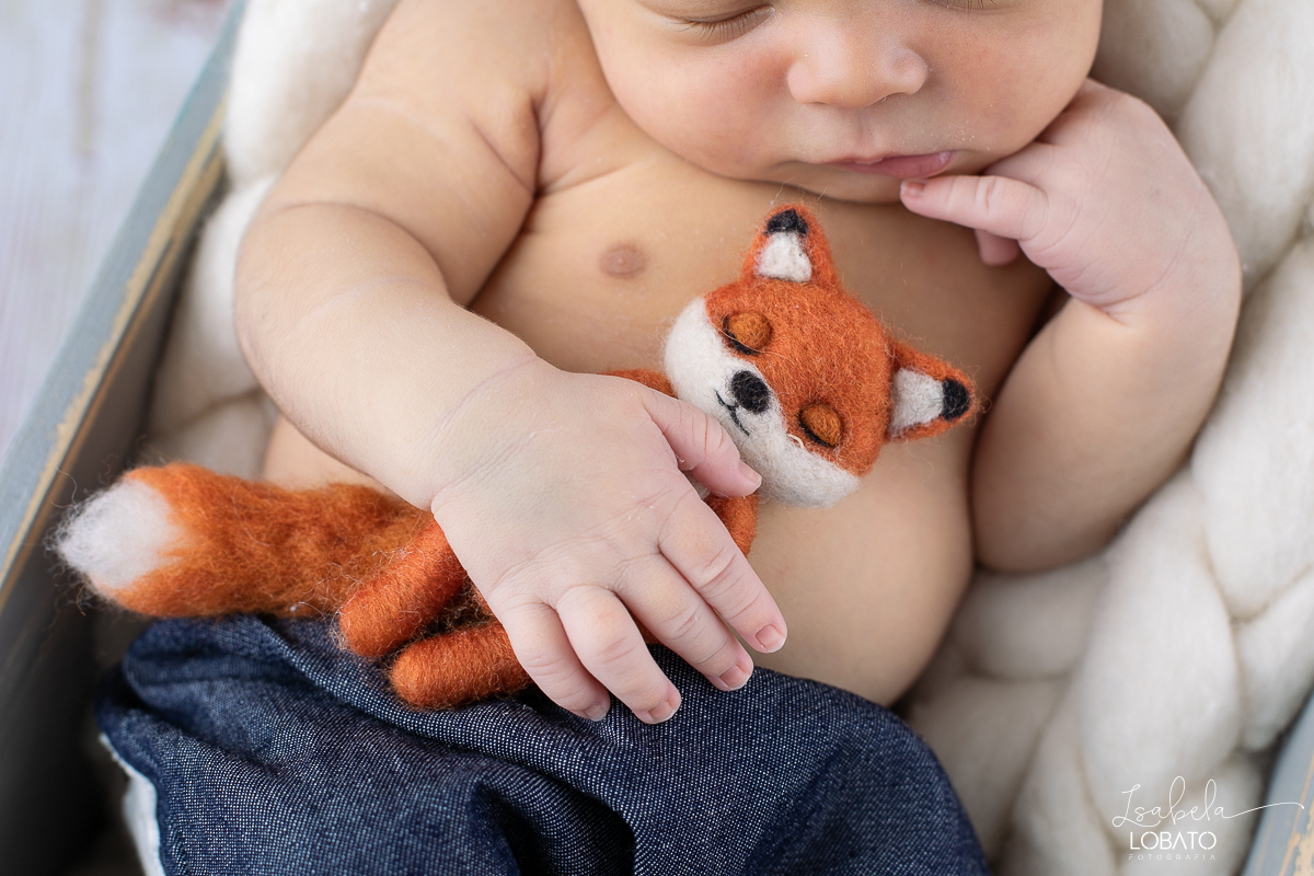 ensaio-fotografico-de-recem-nascido-ensaio-newborn-bebe-recem-nascido-sono-do-bebe-acompanhamento-fotografico-infantil-cenario-de-newborn-fundo-fotografico-para-ensaio-newborn-fotografa-especialista-em-ensaio-newborn-isabela-lobato-fotografia-barbacena-mg