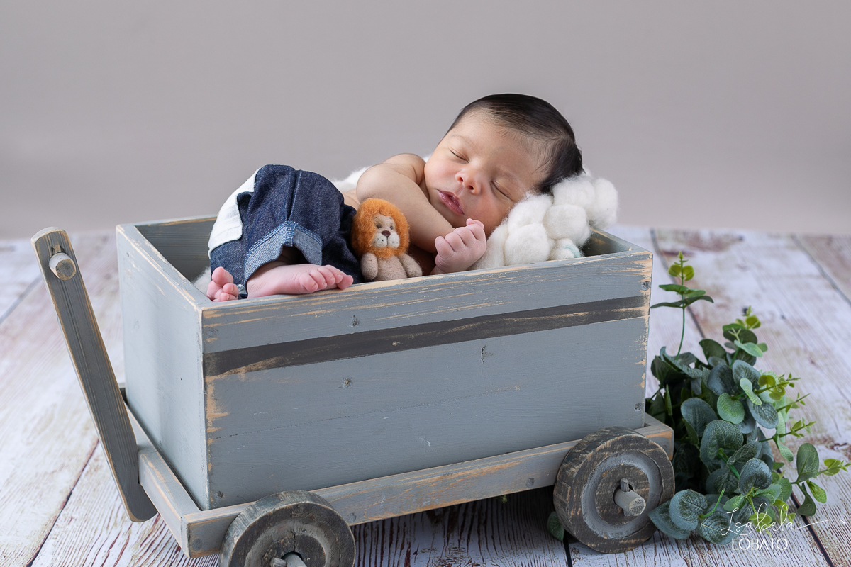 ensaio-fotografico-de-recem-nascido-ensaio-newborn-bebe-recem-nascido-sono-do-bebe-acompanhamento-fotografico-infantil-cenario-de-newborn-fundo-fotografico-para-ensaio-newborn-fotografa-especialista-em-ensaio-newborn-isabela-lobato-fotografia-barbacena-mg