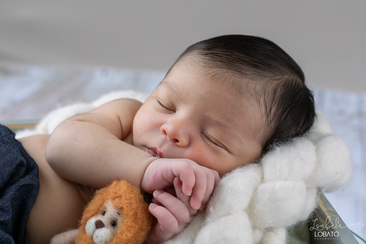 ensaio-fotografico-de-recem-nascido-ensaio-newborn-bebe-recem-nascido-sono-do-bebe-acompanhamento-fotografico-infantil-cenario-de-newborn-fundo-fotografico-para-ensaio-newborn-fotografa-especialista-em-ensaio-newborn-isabela-lobato-fotografia-barbacena-mg