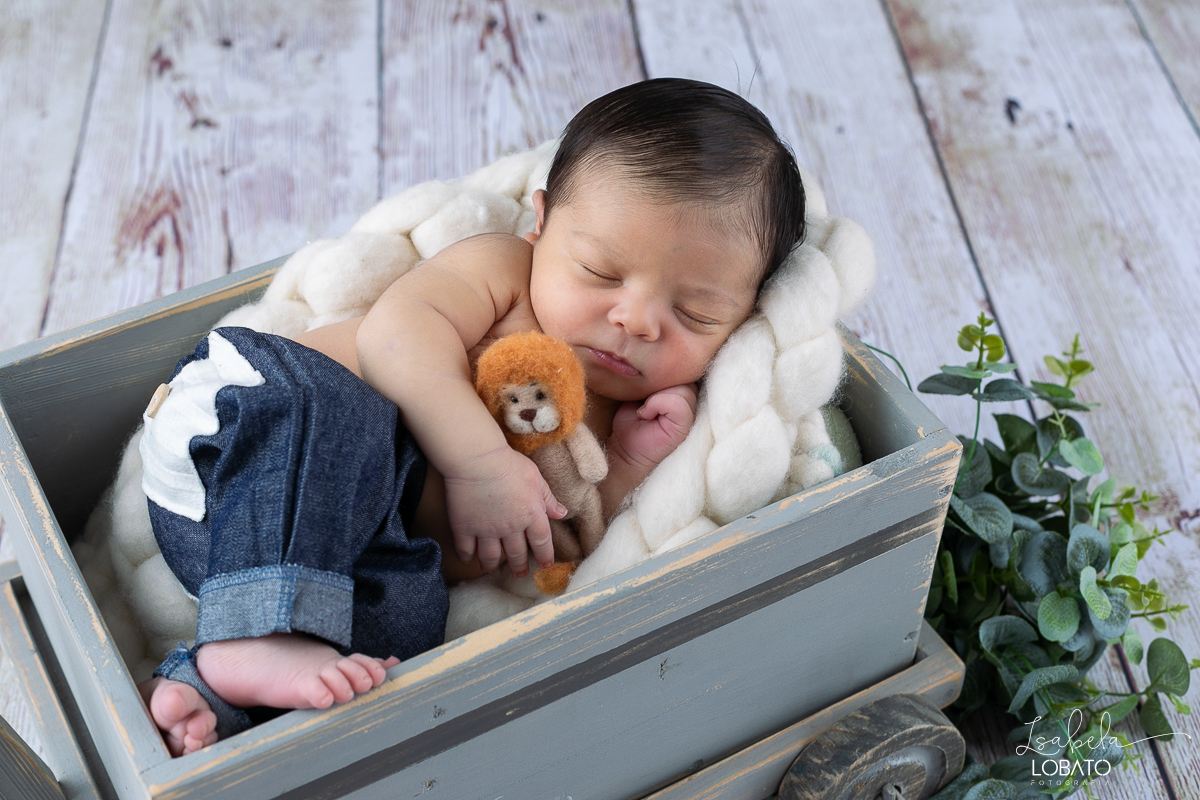 ensaio-fotografico-de-recem-nascido-ensaio-newborn-bebe-recem-nascido-sono-do-bebe-acompanhamento-fotografico-infantil-cenario-de-newborn-fundo-fotografico-para-ensaio-newborn-fotografa-especialista-em-ensaio-newborn-isabela-lobato-fotografia-barbacena-mg