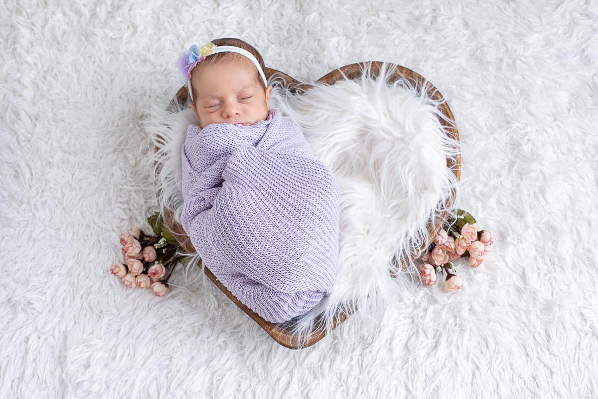 ensaio-fotografico-newborn-ensaio-de-recem-nascido-newborn-de-gemeas-gravidez-gemelar-irmas-gemeas-recem-nascida-fotografia-de-bebes-gemeas-fotografa-especializada-em-newborn-em-barbacena-e-regiao-estudio-fotografico-em-barbacena-isabela-loabato-fotografa