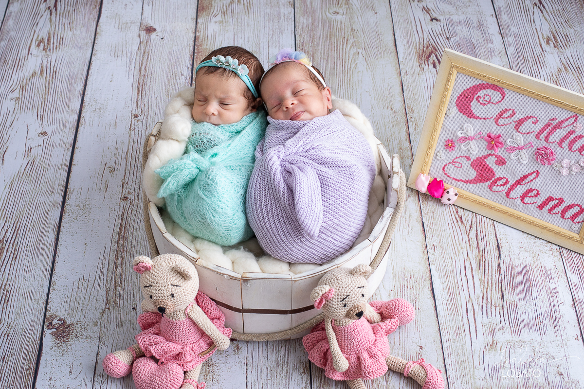 ensaio-fotografico-newborn-ensaio-de-recem-nascido-newborn-de-gemeas-gravidez-gemelar-irmas-gemeas-recem-nascida-fotografia-de-bebes-gemeas-fotografa-especializada-em-newborn-em-barbacena-e-regiao-estudio-fotografico-em-barbacena-isabela-loabato-fotografa