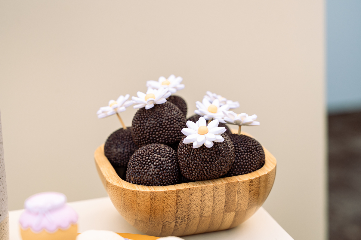 foto-para-aniversario-fotografo-de-aniversario-infantil-em-barbacena-fotografo-de-batizado-em-barbacena-fotografo-de-evento-infantil-em-barbacena-estudio-de-fotos-em-barbacena-isabela-lobato-fotografia