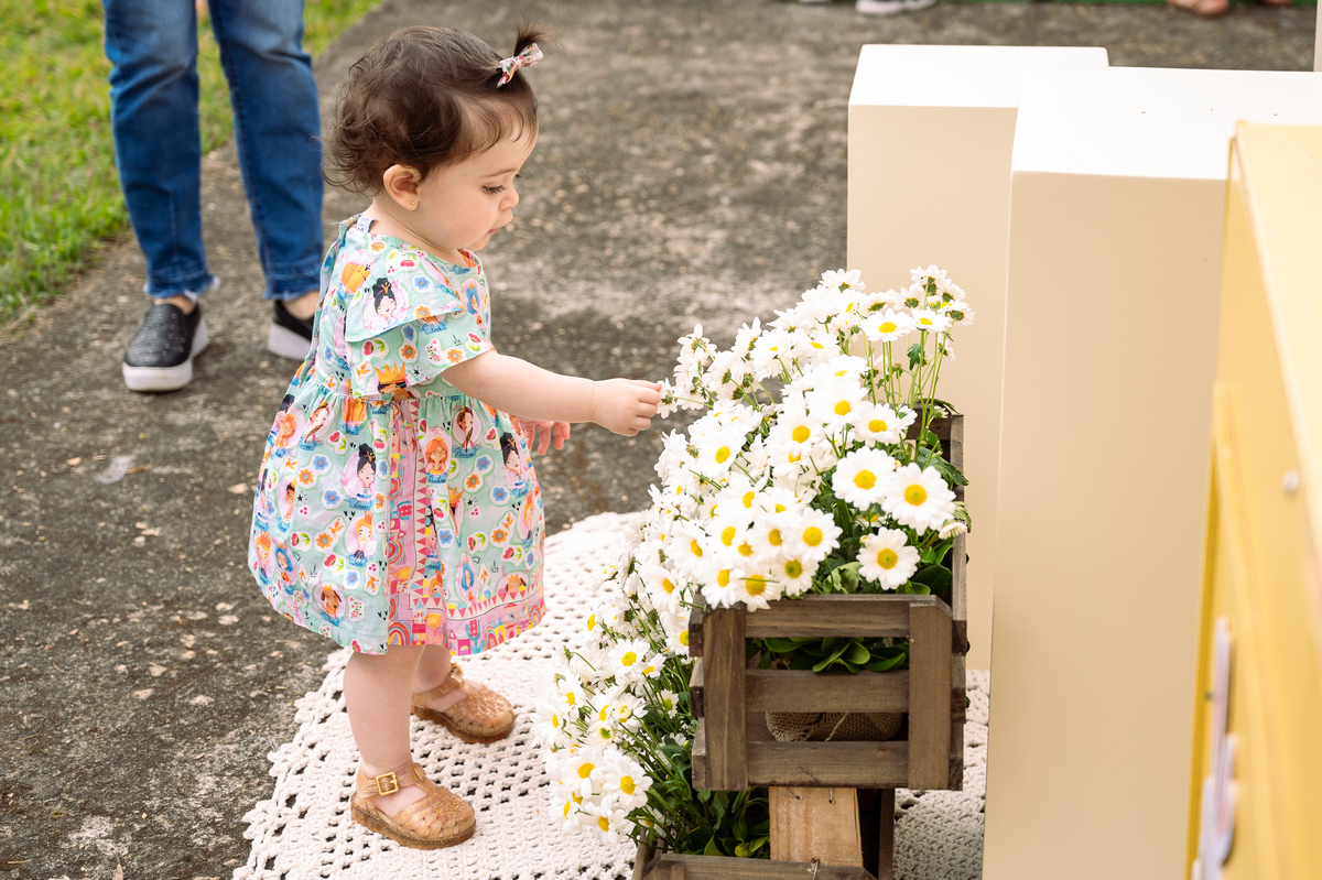 foto-para-aniversario-fotografo-de-aniversario-infantil-em-barbacena-fotografo-de-batizado-em-barbacena-fotografo-de-evento-infantil-em-barbacena-estudio-de-fotos-em-barbacena-isabela-lobato-fotografia-decoracao-festa-infantil-abelhinha