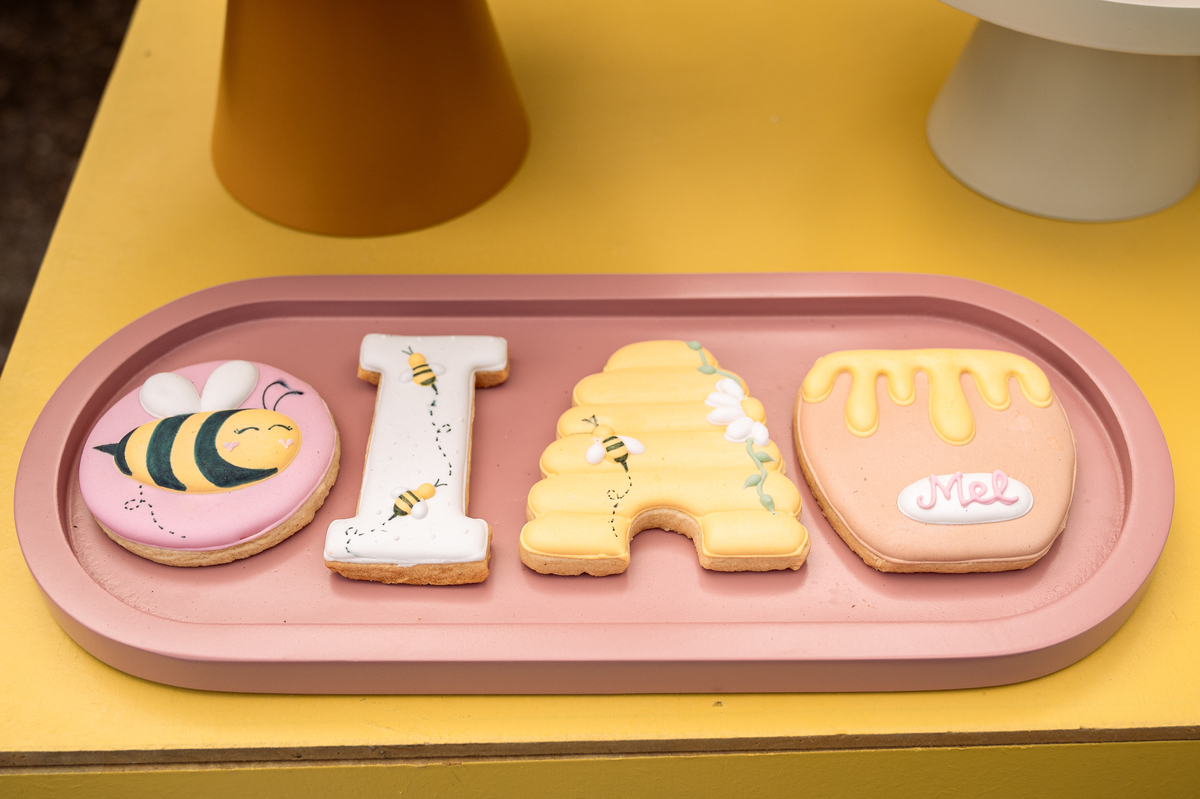 foto-para-aniversario-fotografo-de-aniversario-infantil-em-barbacena-fotografo-de-batizado-em-barbacena-fotografo-de-evento-infantil-em-barbacena-estudio-de-fotos-em-barbacena-isabela-lobato-fotografia-decoracao-festa-infantil-abelhinha