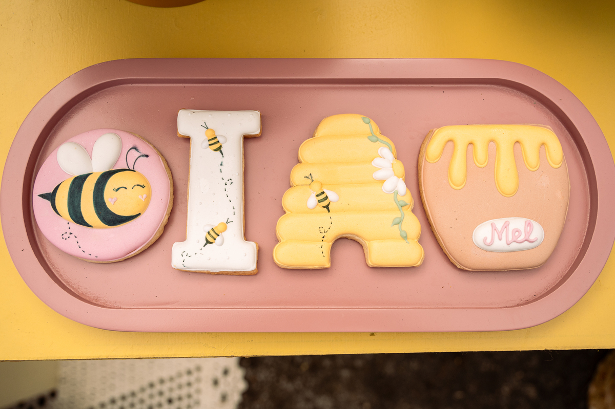 foto-para-aniversario-fotografo-de-aniversario-infantil-em-barbacena-fotografo-de-batizado-em-barbacena-fotografo-de-evento-infantil-em-barbacena-estudio-de-fotos-em-barbacena-isabela-lobato-fotografia-decoracao-festa-infantil-abelhinha