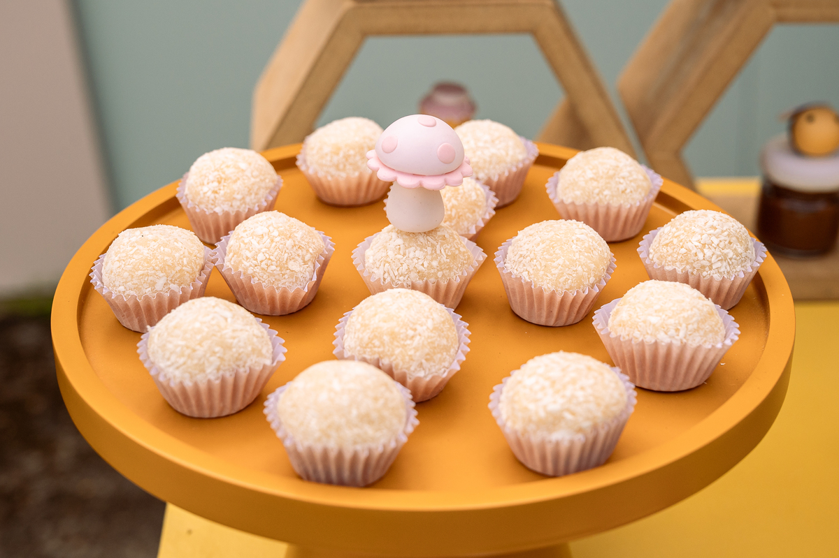 foto-para-aniversario-fotografo-de-aniversario-infantil-em-barbacena-fotografo-de-batizado-em-barbacena-fotografo-de-evento-infantil-em-barbacena-estudio-de-fotos-em-barbacena-isabela-lobato-fotografia-decoracao-festa-infantil-abelhinha