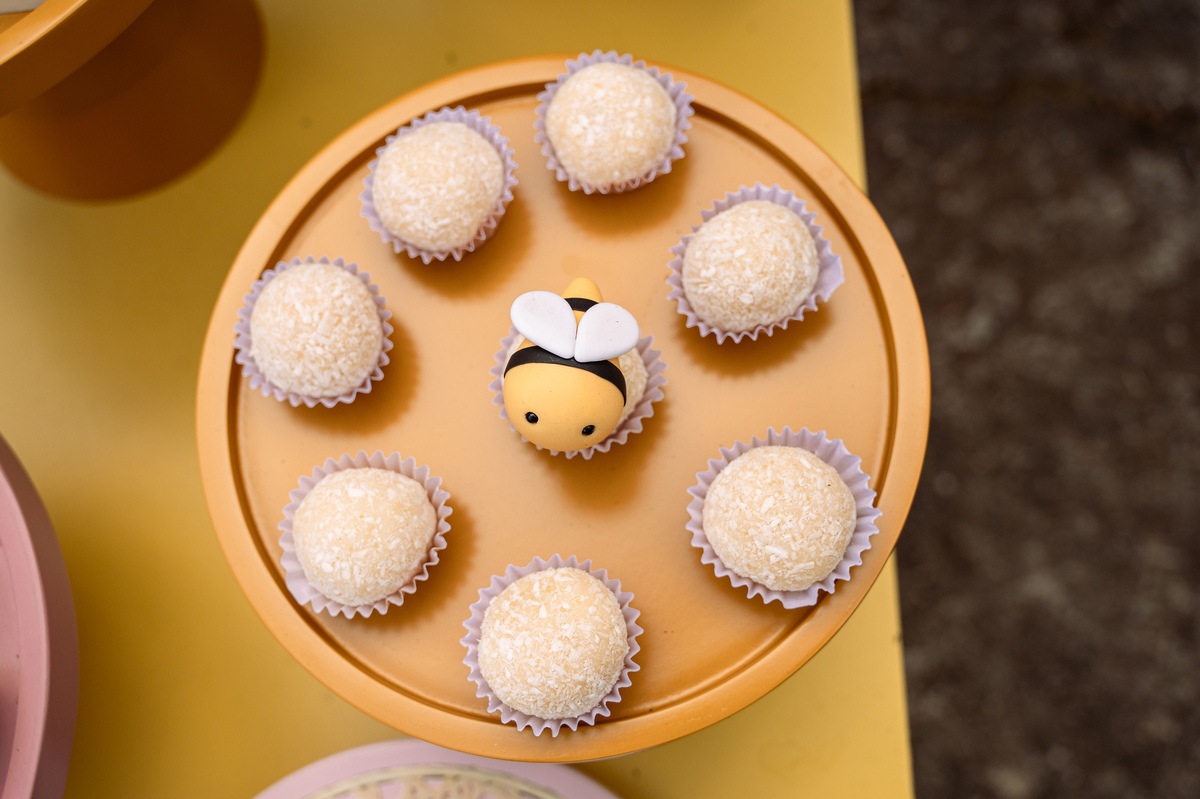 foto-para-aniversario-fotografo-de-aniversario-infantil-em-barbacena-fotografo-de-batizado-em-barbacena-fotografo-de-evento-infantil-em-barbacena-estudio-de-fotos-em-barbacena-isabela-lobato-fotografia