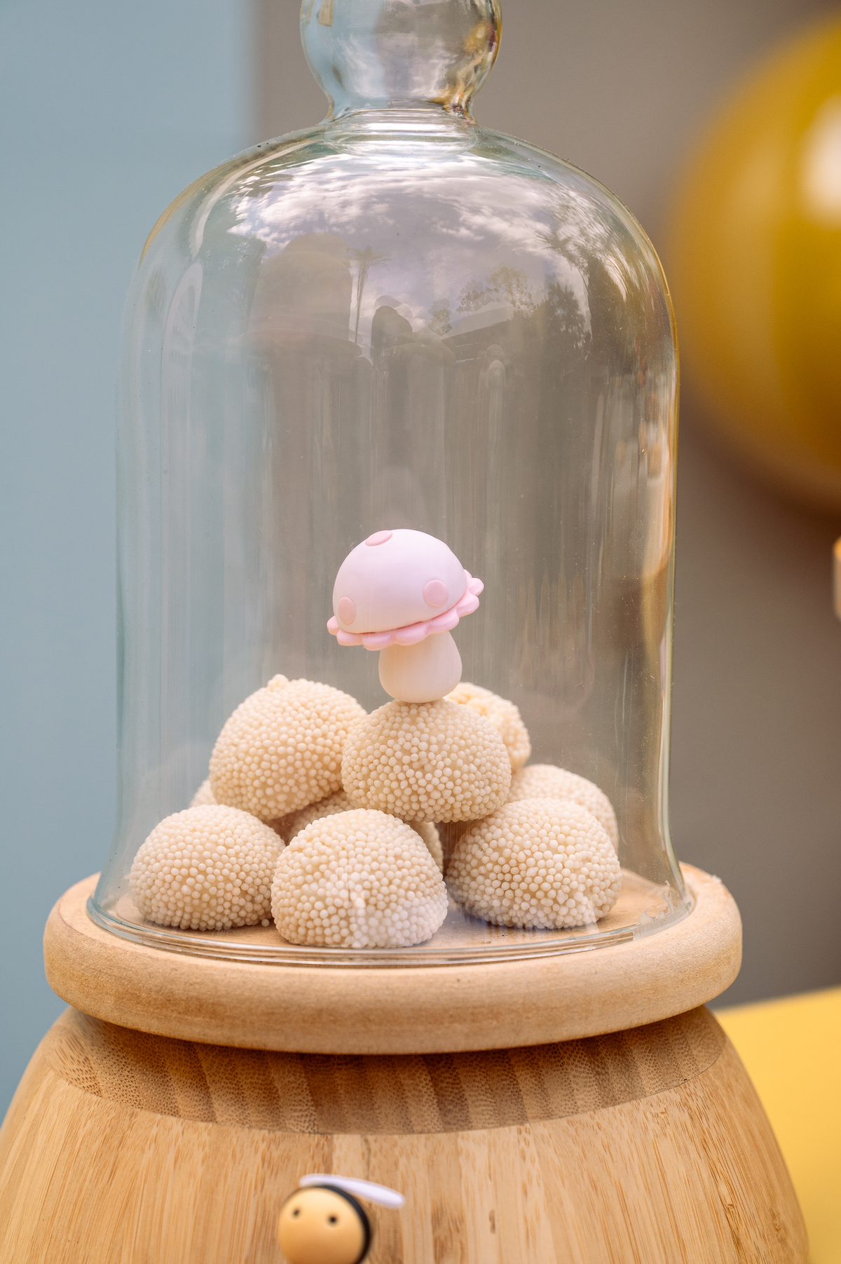 foto-para-aniversario-fotografo-de-aniversario-infantil-em-barbacena-fotografo-de-batizado-em-barbacena-fotografo-de-evento-infantil-em-barbacena-estudio-de-fotos-em-barbacena-isabela-lobato-fotografia