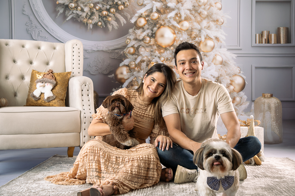 cenario-de-natal-fundo-fotografico-de-natal-retratos-de-natal-arvore-de-natal-tendencias-2023-brinquedos-de-natal-natal-em-familia-ideia-de-cenario-fotografico-de-natal-estudio-fotografico-em-barbacena-ensaio-de-natal-2023-isabela-lobato-fotografia