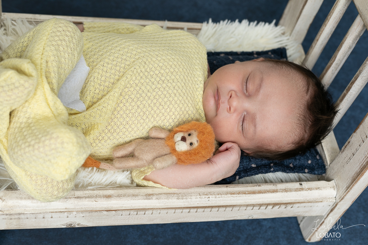 ensaio-fotografico-de-recem-nasdico-newborn-love-photo-baby-recem-nascido-fotografa-de-newborn-barbacena-estudio-isabela-lobato-fotografia-fotografa-de-bebes-em-barbacena-isabela-lobato-fotografia