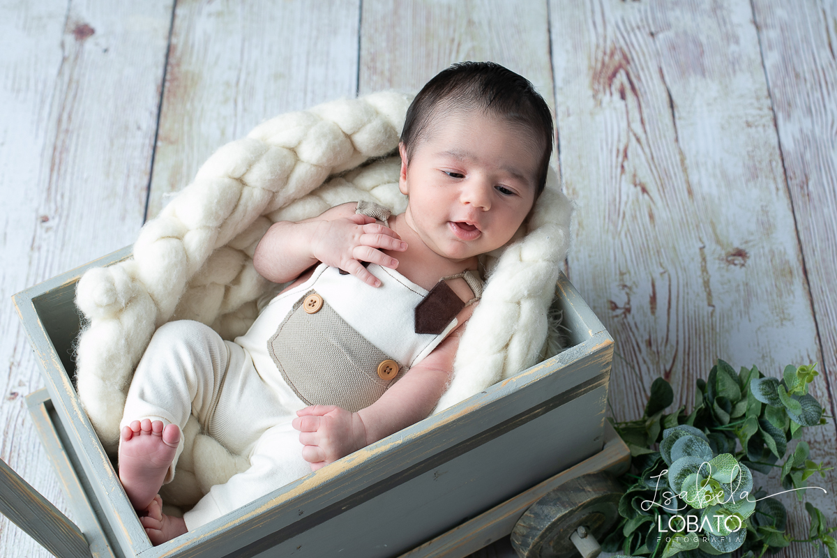 fotos-de-ensaios-newborn-ensaio-fotografico-de-bebe-recem-nascido-love-newborn-fotografa-especializada-em-newborn-em-minas-gerais-estudio-fotografico-infantil-isabela-lobato-fotografia-melhor-estudio-fotografico-de-barbacena-mg-isabela-lobato-fotografia