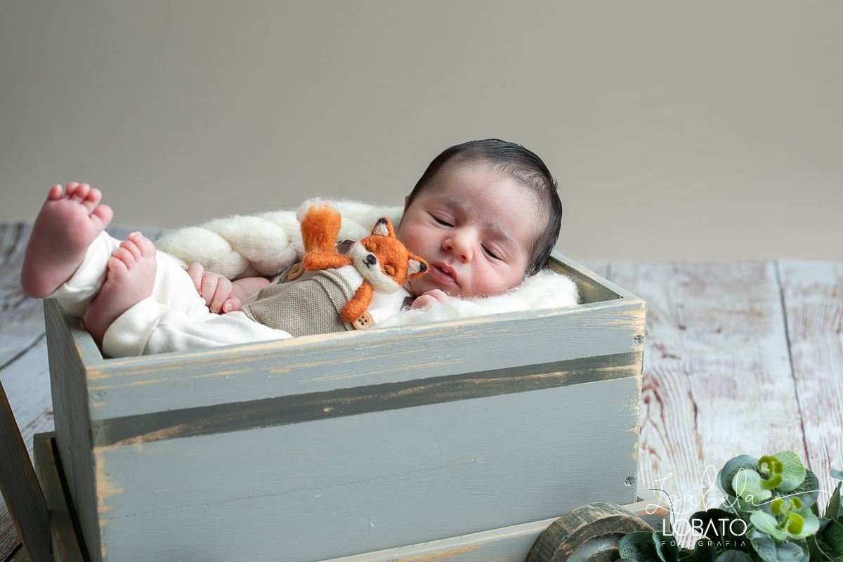 fotos-de-ensaios-newborn-ensaio-fotografico-de-bebe-recem-nascido-love-newborn-fotografa-especializada-em-newborn-em-minas-gerais-estudio-fotografico-infantil-isabela-lobato-fotografia-melhor-estudio-fotografico-de-barbacena-mg-isabela-lobato-fotografia