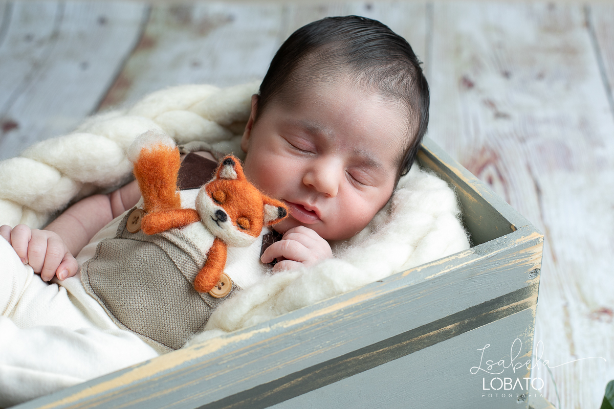 fotos-de-ensaios-newborn-ensaio-fotografico-de-bebe-recem-nascido-love-newborn-fotografa-especializada-em-newborn-em-minas-gerais-estudio-fotografico-infantil-isabela-lobato-fotografia-melhor-estudio-fotografico-de-barbacena-mg-isabela-lobato-fotografia