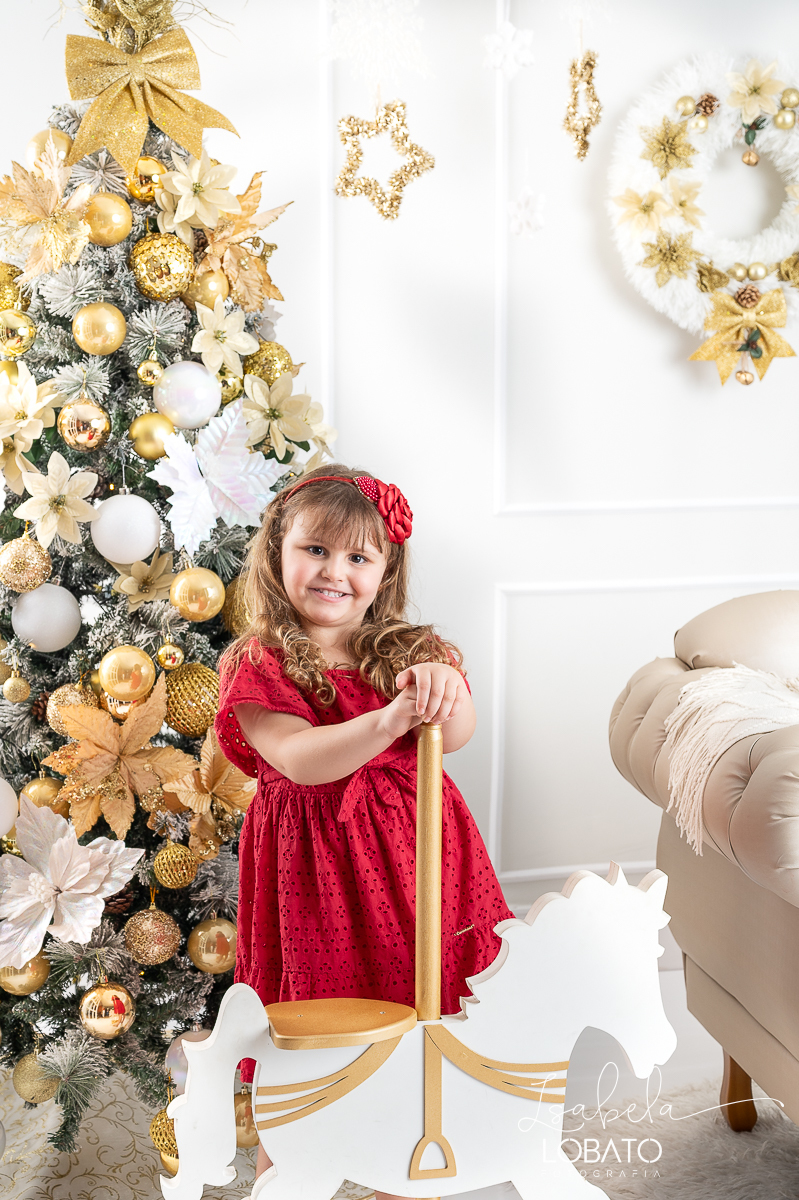 ensaio-fotografico-de-natal-cenario-fotografico-de-natal-fundo-fotografico-de-natal-2024-melhor-fotografo-em-barbacena-retratos-de-natal-mini-sessao-fotografica-de-natal-retratos-de-familia-no-natal-arvore-de-natal-decoracao-de-natal-em-barbacena-natal