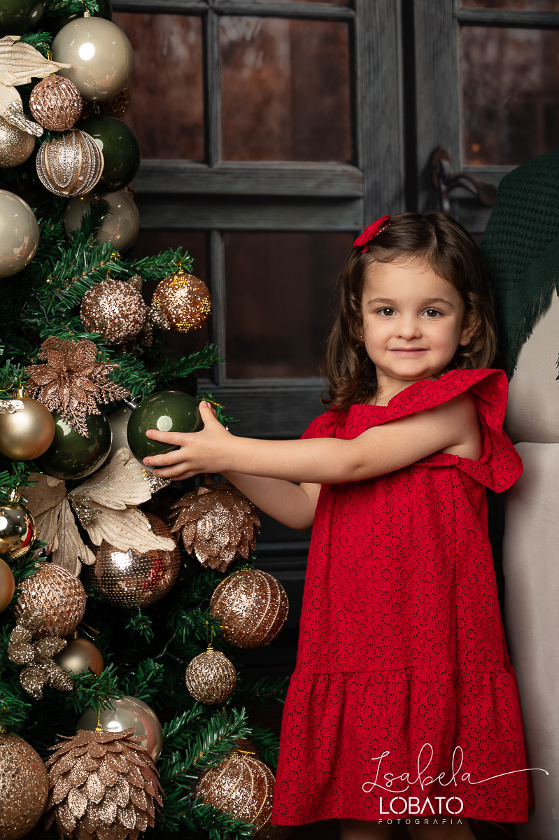 ensaio-fotografico-de-natal-cenario-fotografico-de-natal-fundo-fotografico-de-natal-2024-melhor-fotografo-em-barbacena-retratos-de-natal-mini-sessao-fotografica-de-natal-retratos-de-familia-no-natal-arvore-de-natal-decoracao-de-natal-em-barbacena-natal