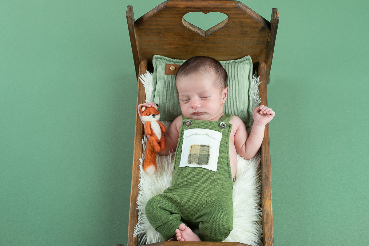 ensaio-newborn-ensaio-fotografico-de-bebe-recem-nascido-fotografa-de-recem-nascido-em-barbacena-minas-gerais-melhor-fotografa-de-conselheiro-lafaiete-barbacena-fotografa-em-alto-rio-doce-fotografa-infantil-minas-gerais-isabela-lobato-fotografia-barbacena