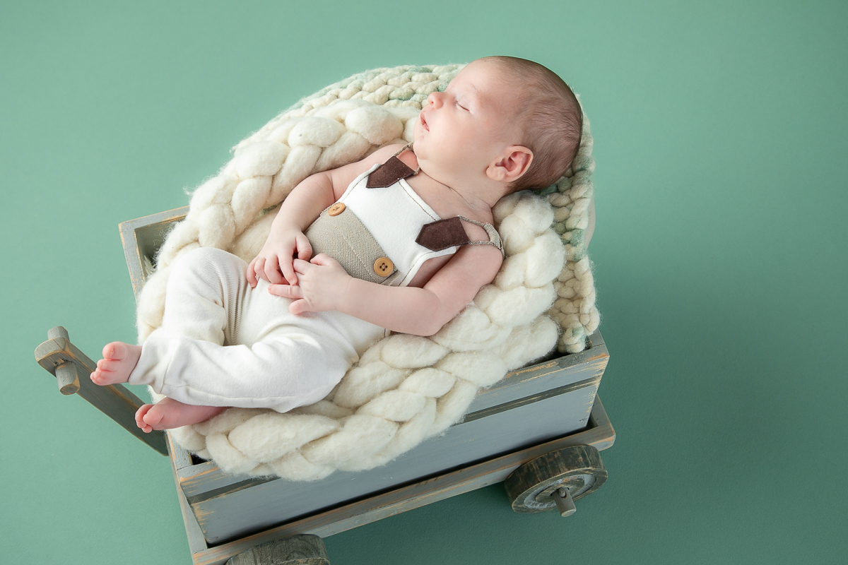 ensaio-newborn-ensaio-fotografico-de-bebe-recem-nascido-fotografa-de-recem-nascido-em-barbacena-minas-gerais-melhor-fotografa-de-conselheiro-lafaiete-barbacena-fotografa-em-alto-rio-doce-fotografa-infantil-minas-gerais-isabela-lobato-fotografia-barbacena