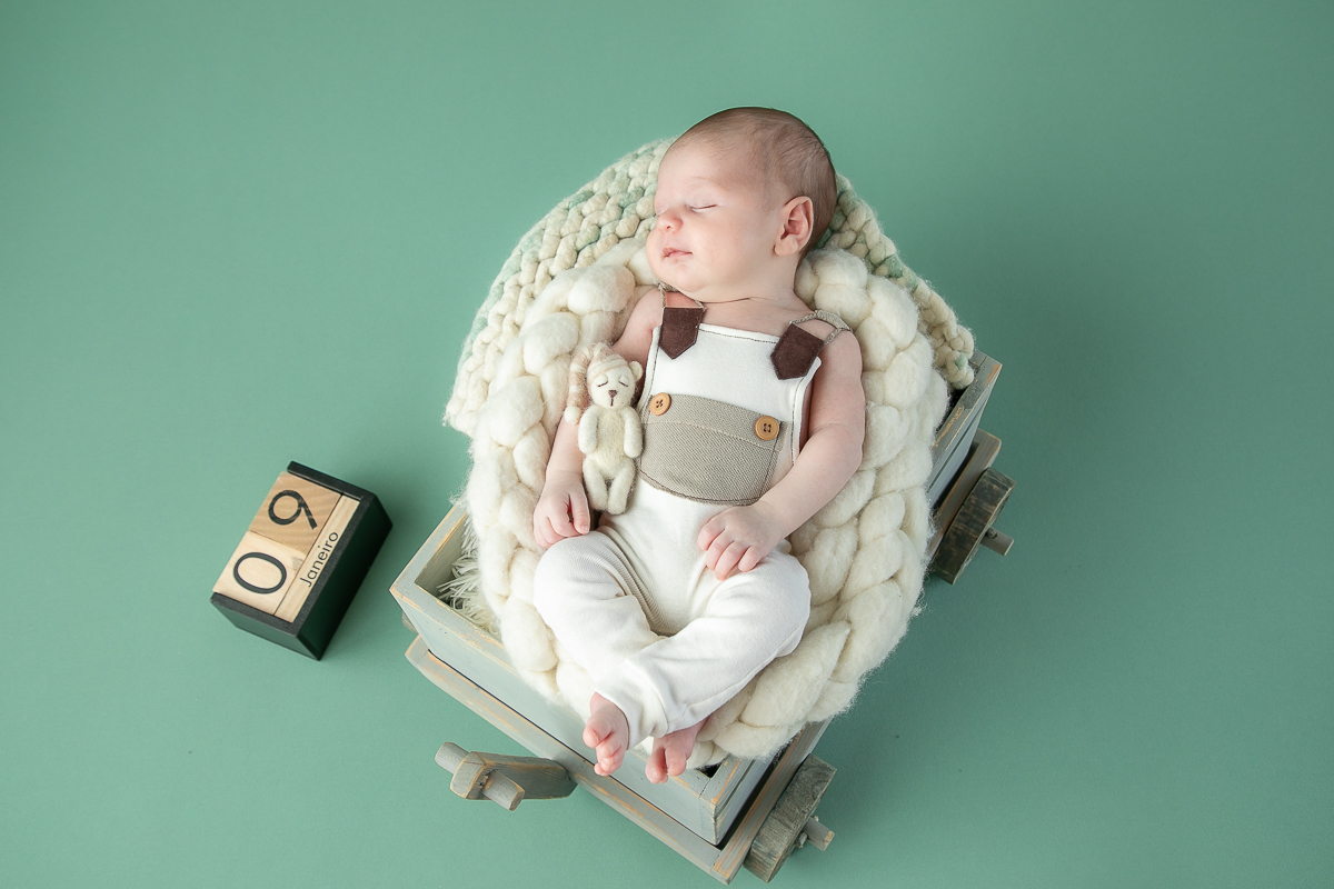 ensaio-newborn-ensaio-fotografico-de-bebe-recem-nascido-fotografa-de-recem-nascido-em-barbacena-minas-gerais-melhor-fotografa-de-conselheiro-lafaiete-barbacena-fotografa-em-alto-rio-doce-fotografa-infantil-minas-gerais-isabela-lobato-fotografia-barbacena