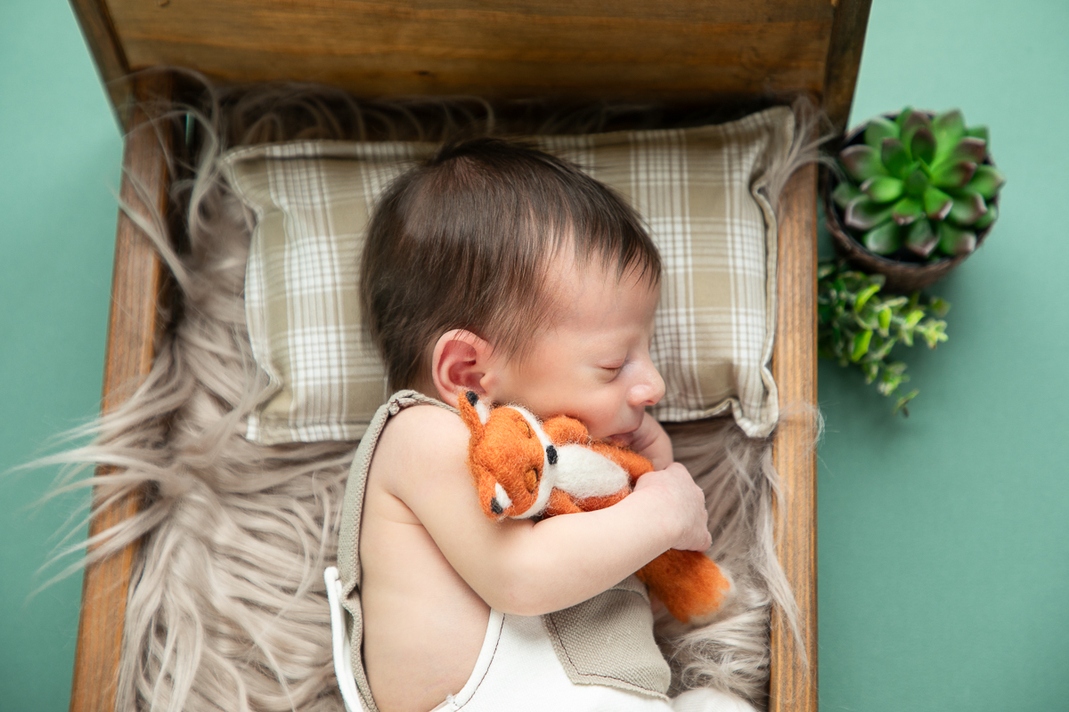 ensaio-fotografico-de-recem-nascido-em-barbacena-fotografa-especializada-em-bebes-recem-nascido-melhor-fotografo-de-barbacena-fotografo-de-aniversario-infantil-em-barbacena-referencia-em-fotografia-em-barbacena-e-regiao-estudio-fotografico-isabela-lobato