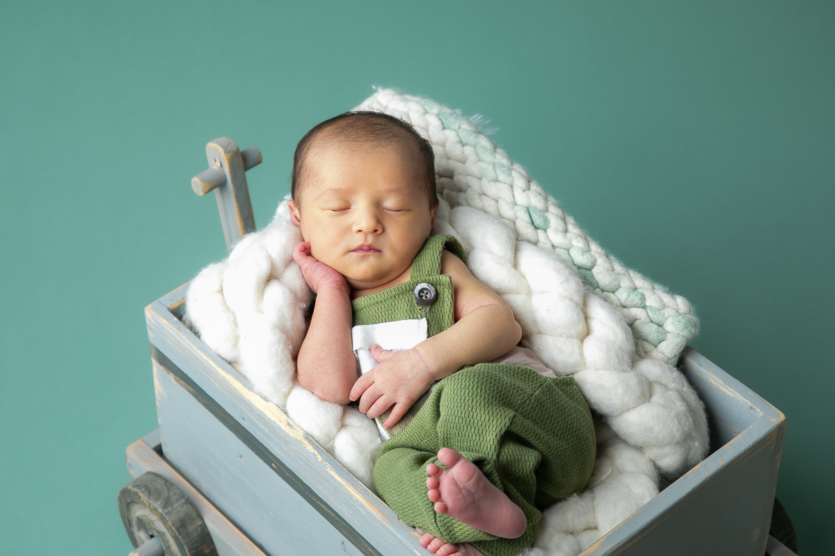 ensaio-newborn-ensaio-fotografico-de-bebe-recem-nascido-fotografa-de-recem-nascido-em-barbacena-minas-gerais-melhor-fotografa-de-conselheiro-lafaiete-barbacena-fotografa-em-alto-rio-doce-fotografa-infantil-minas-gerais-isabela-lobato-fotografia-barbacena