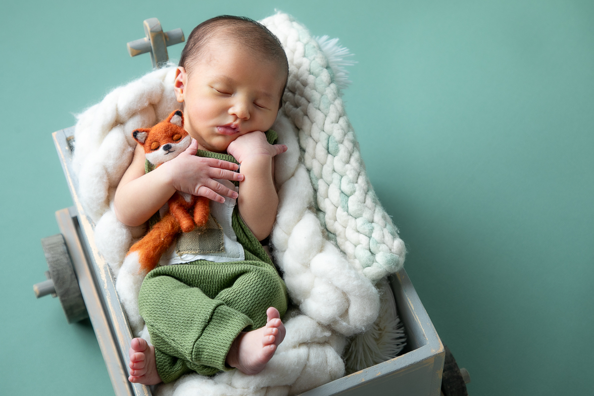 ensaio-newborn-ensaio-fotografico-de-bebe-recem-nascido-fotografa-de-recem-nascido-em-barbacena-minas-gerais-melhor-fotografa-de-conselheiro-lafaiete-barbacena-fotografa-em-alto-rio-doce-fotografa-infantil-minas-gerais-isabela-lobato-fotografia-barbacena