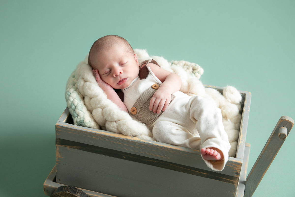 ensaio-newborn-ensaio-fotografico-de-bebe-recem-nascido-fotografa-de-recem-nascido-em-barbacena-minas-gerais-melhor-fotografa-de-conselheiro-lafaiete-barbacena-fotografa-em-alto-rio-doce-fotografa-infantil-minas-gerais-isabela-lobato-fotografia-barbacena