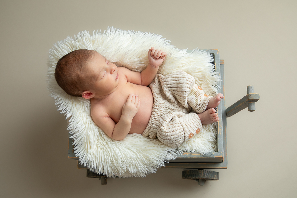 ensaio-newborn-ensaio-fotografico-de-bebe-recem-nascido-fotografa-de-recem-nascido-em-barbacena-minas-gerais-melhor-fotografa-de-conselheiro-lafaiete-barbacena-fotografa-em-alto-rio-doce-fotografa-infantil-minas-gerais-isabela-lobato-fotografia-barbacena
