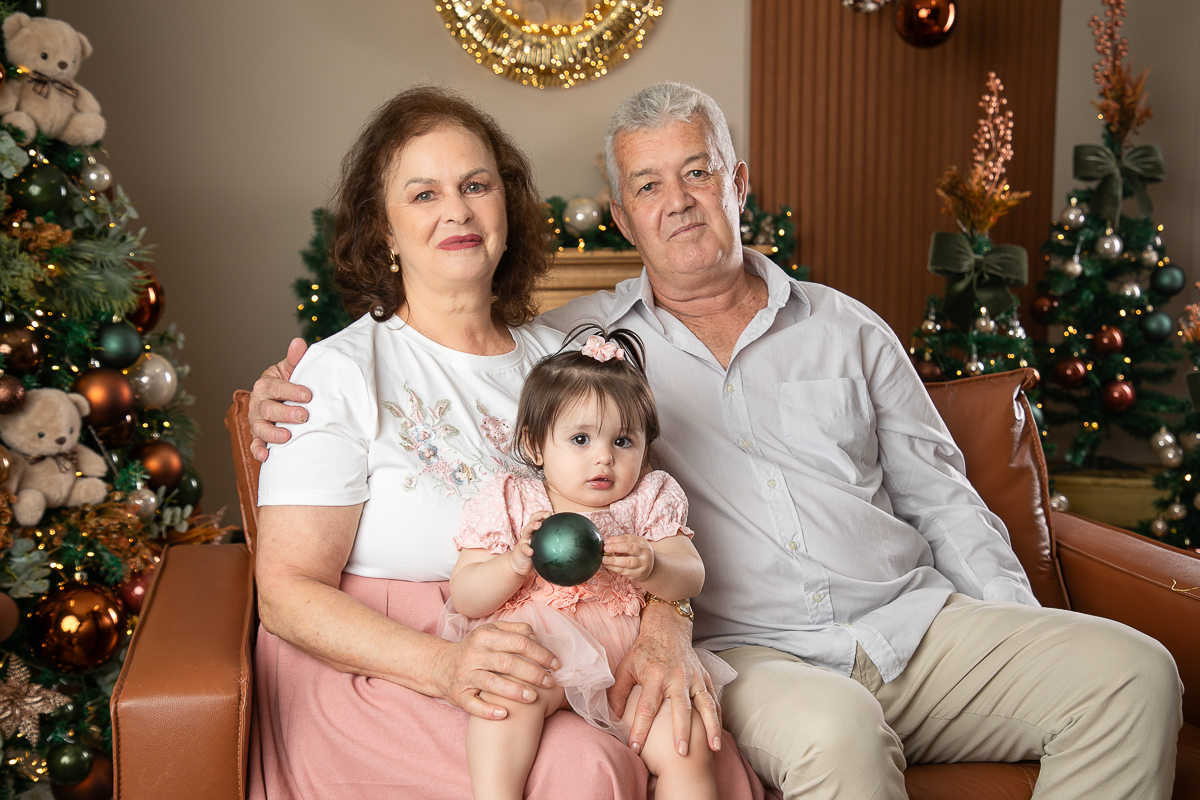 ensaio-fotografico-de-natal-2026-ideia-de-cenario-fotografico-de-natal-cenario-lindo-de-natal-tendencias-natal-2026-ideia-de-arvores-de-natal-ideia-de-fotos-de-natal-papai-noel-2026-luzes-de-natal-ensaio-fotografico-de-natal-em-barbacena-e-regiao-minas-ge