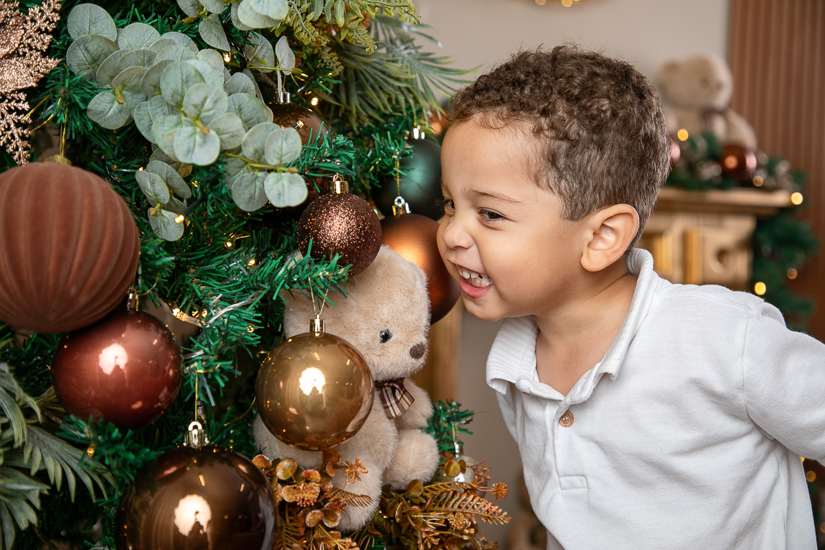 ensaio-fotografico-de-natal-2026-ideia-de-cenario-fotografico-de-natal-cenario-lindo-de-natal-tendencias-natal-2026-ideia-de-arvores-de-natal-ideia-de-fotos-de-natal-papai-noel-2026-luzes-de-natal-ensaio-fotografico-de-natal-em-barbacena-e-regiao-minas-ge