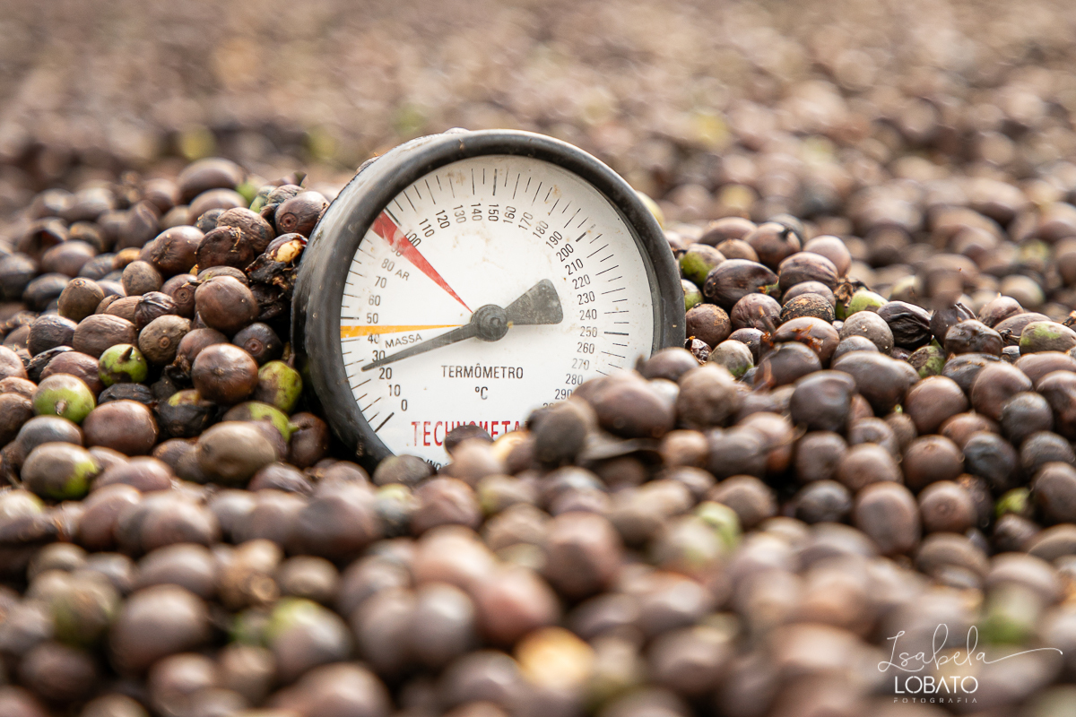 produçao-de-cafe-fotografia-de-cafe-dia-nacional-do-cafe-especial-santo-antonio-do-amparo-produçao-de-cafe-campo-das-vertentes-exportaçao-de-cafe