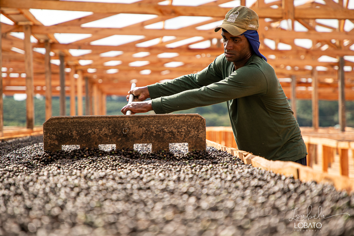 produçao-de-cafe-fotografia-de-cafe-dia-nacional-do-cafe-especial-santo-antonio-do-amparo-produçao-de-cafe-campo-das-vertentes-exportaçao-de-cafe