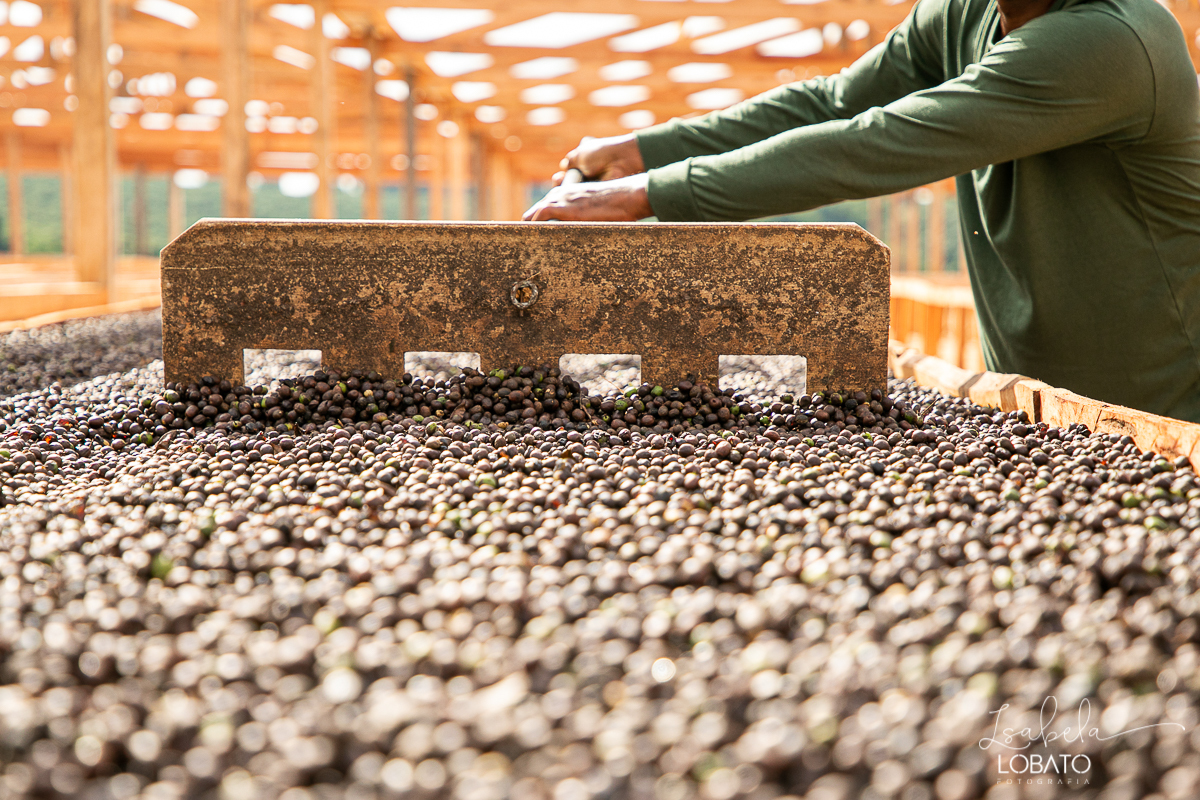 produçao-de-cafe-fotografia-de-cafe-dia-nacional-do-cafe-especial-santo-antonio-do-amparo-produçao-de-cafe-campo-das-vertentes-exportaçao-de-cafe