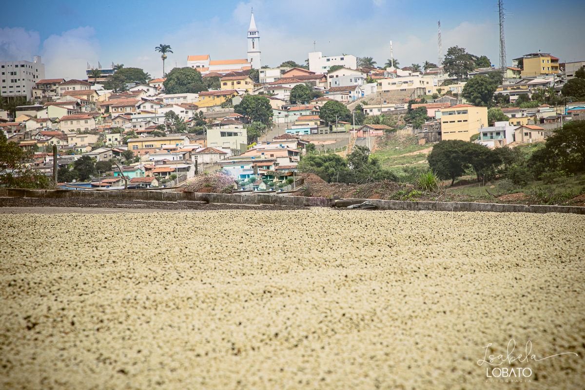 produçao-de-cafe-fotografia-de-cafe-dia-nacional-do-cafe-especial-santo-antonio-do-amparo-produçao-de-cafe-campo-das-vertentes-exportaçao-de-cafe