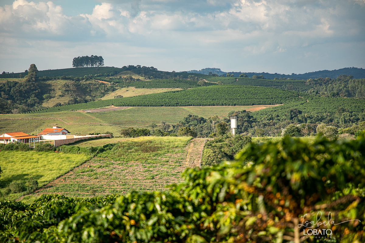 produçao-de-cafe-fotografia-de-cafe-dia-nacional-do-cafe-especial-santo-antonio-do-amparo-produçao-de-cafe-campo-das-vertentes-exportaçao-de-cafe
