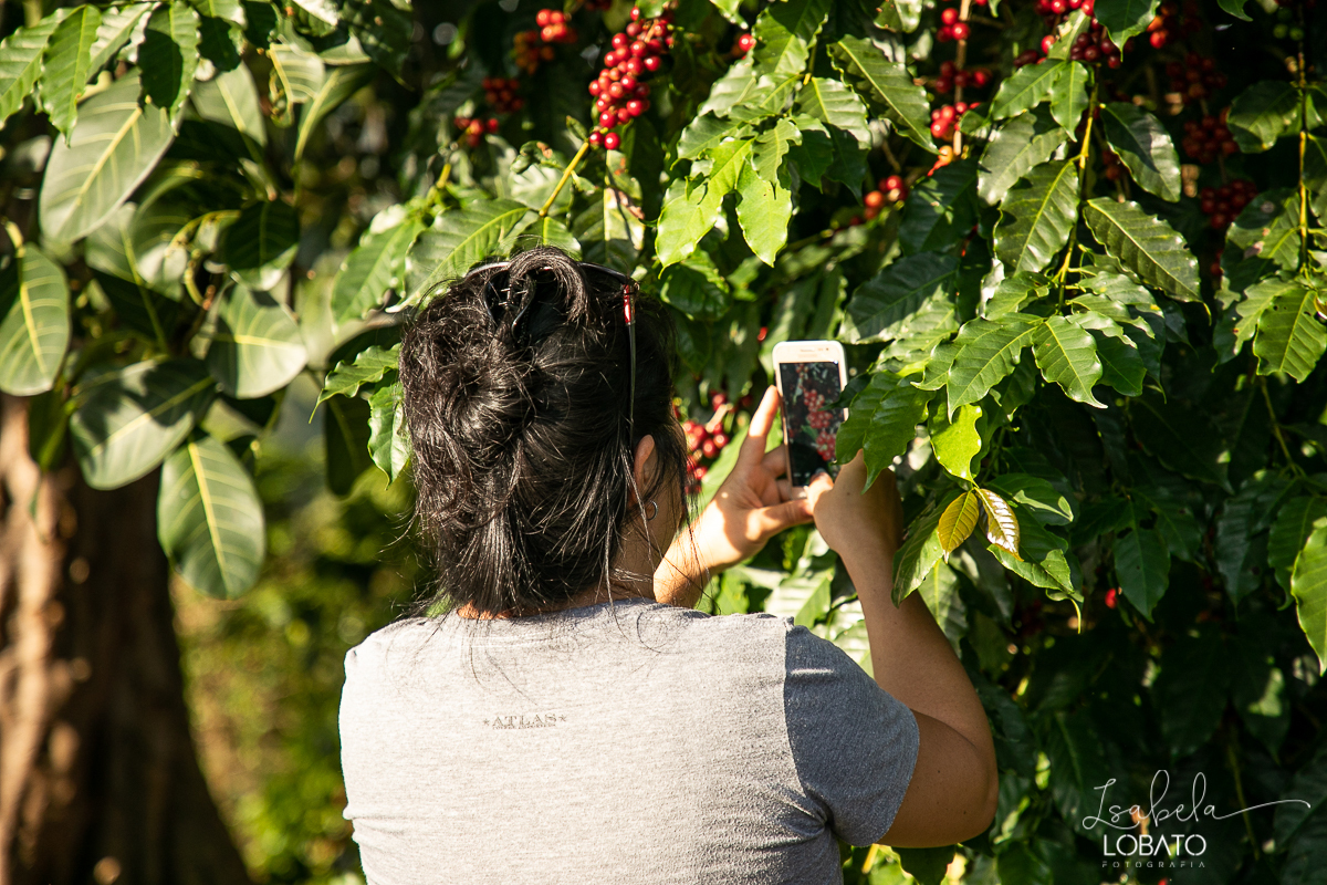 produçao-de-cafe-fotografia-de-cafe-dia-nacional-do-cafe-especial-santo-antonio-do-amparo-produçao-de-cafe-campo-das-vertentes-exportaçao-de-cafe