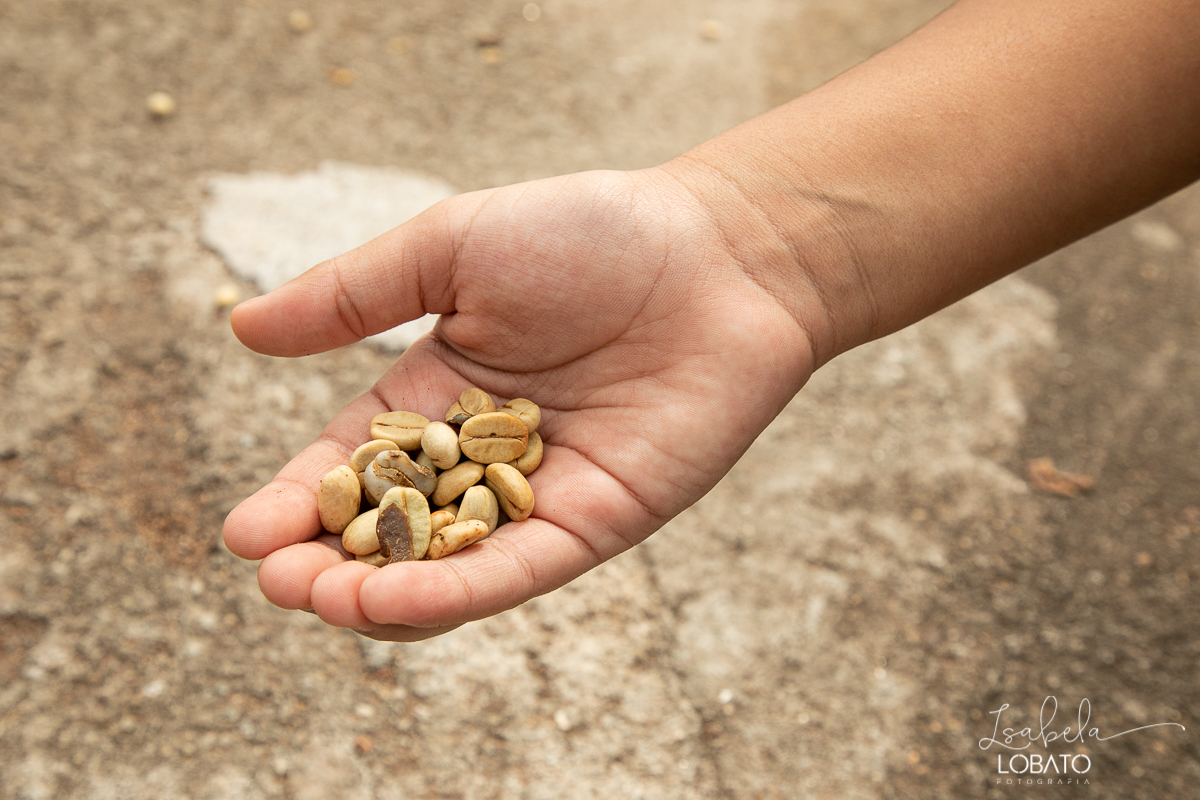 produçao-de-cafe-fotografia-de-cafe-dia-nacional-do-cafe-especial-santo-antonio-do-amparo-produçao-de-cafe-campo-das-vertentes-exportaçao-de-cafe