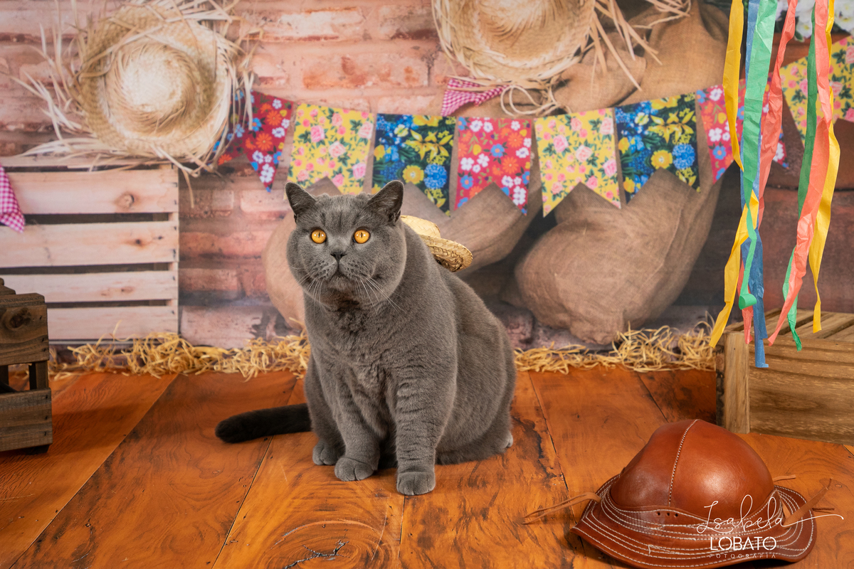 festa-junina-2019-ensio-fotografico-junino-fotografia-infantil-barbacena-fotografa-em-barbacena-estudio-fotografico-isabela-lobato