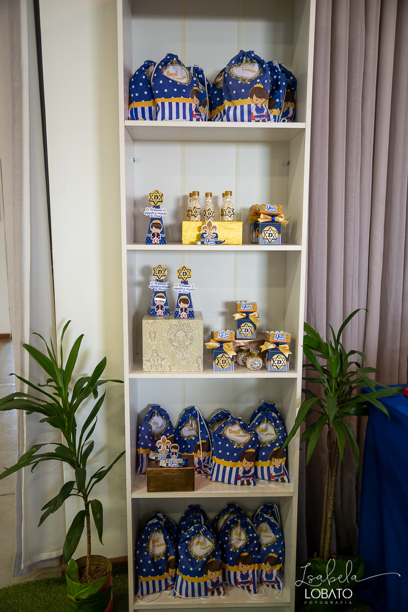 festa-rei-davi-alecrim-salao-de-festas-barbacena-aniversario-infantil-fotografia-de-crianças-barbacena-isabela-lobato-foto-de-aniversario-infantil-barbacena