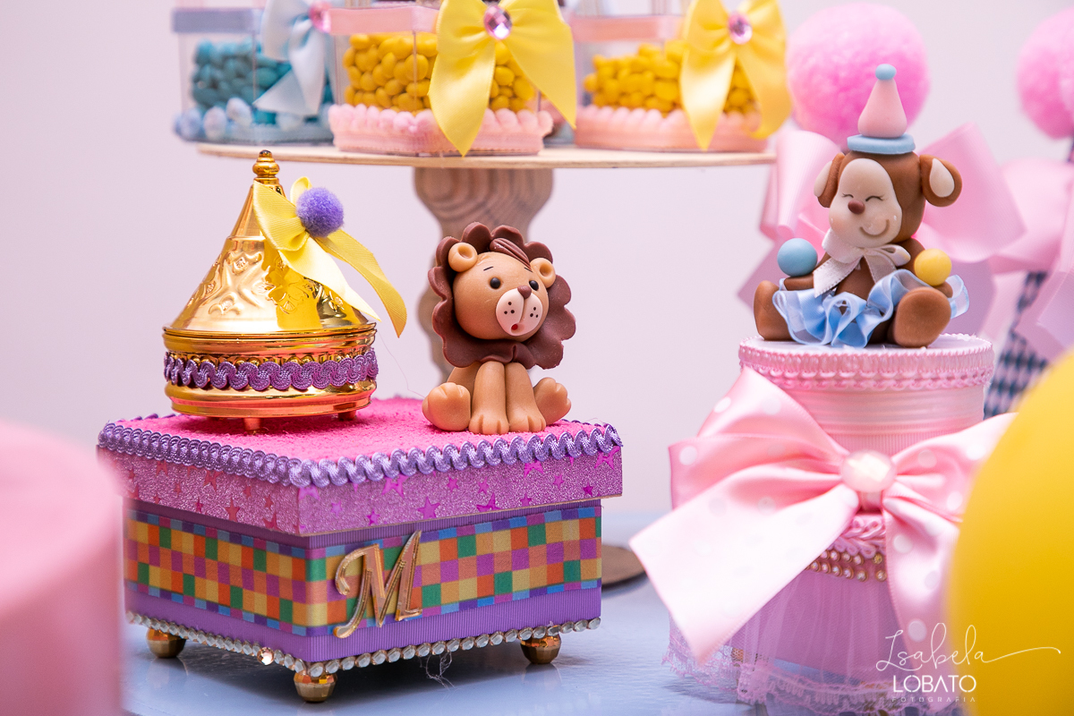 festa-decoracao-circo-rosa-casa-de-festas-uni-duni-te-barbacena-aniversario-infantil-fotografia-de-crianças-barbacena-isabela-lobato-fotografia