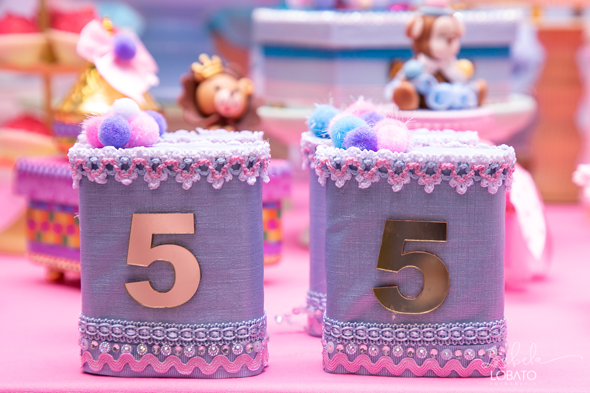 festa-decoracao-circo-rosa-casa-de-festas-uni-duni-te-barbacena-aniversario-infantil-fotografia-de-crianças-barbacena-isabela-lobato-fotografia