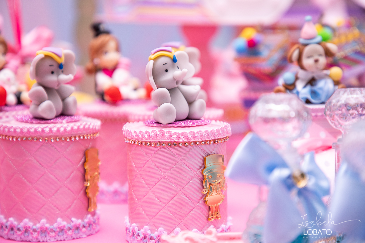 festa-decoracao-circo-rosa-casa-de-festas-uni-duni-te-barbacena-aniversario-infantil-fotografia-de-crianças-barbacena-isabela-lobato-fotografia