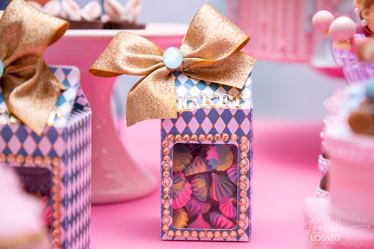 festa-decoracao-circo-rosa-casa-de-festas-uni-duni-te-barbacena-aniversario-infantil-fotografia-de-crianças-barbacena-isabela-lobato-fotografia