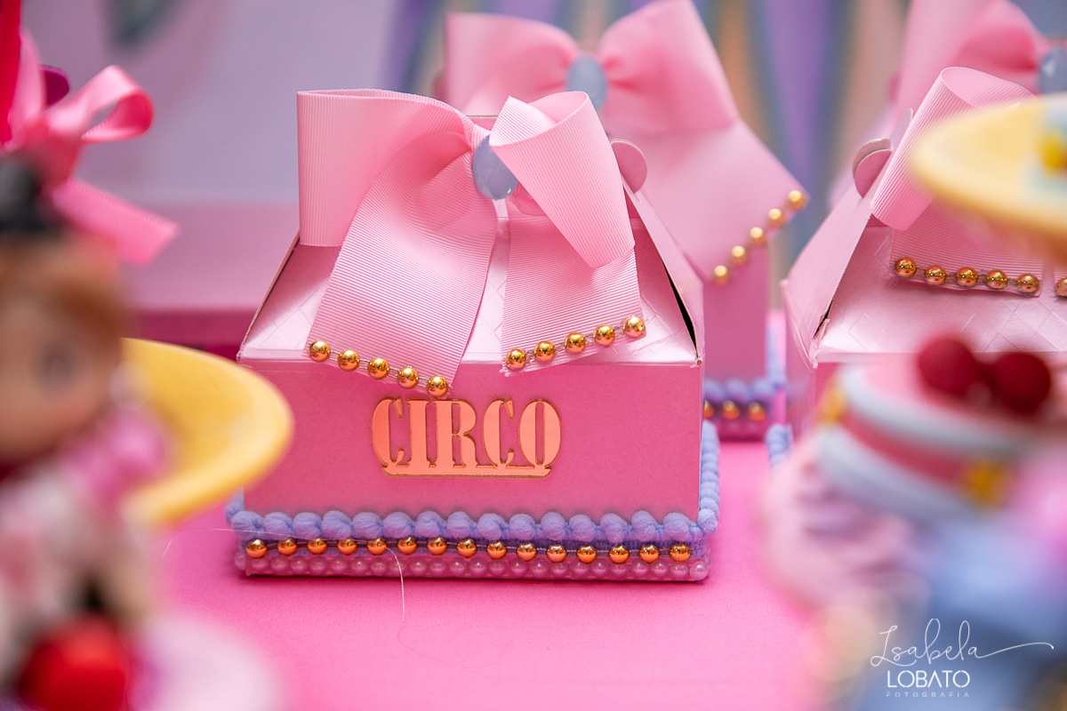 festa-decoracao-circo-rosa-casa-de-festas-uni-duni-te-barbacena-aniversario-infantil-fotografia-de-crianças-barbacena-isabela-lobato-fotografia