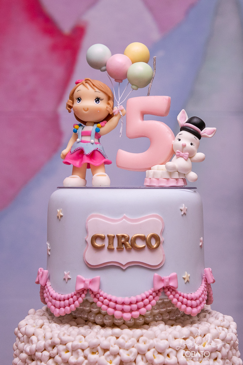 festa-decoracao-circo-rosa-casa-de-festas-uni-duni-te-barbacena-aniversario-infantil-fotografia-de-crianças-barbacena-isabela-lobato-fotografia