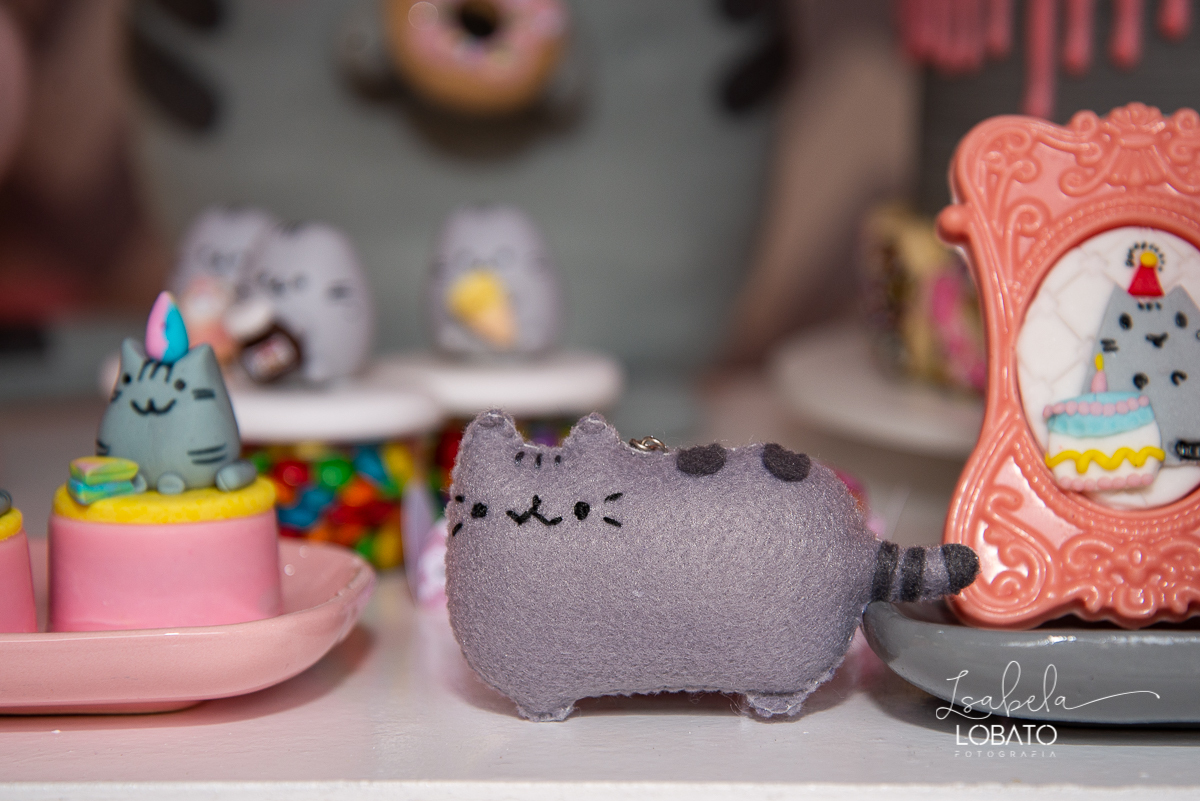 esta-infantil-pusheen-cat-festa-personalizada-aniversario-oito-anos-menina-fotografia-de-aniversario-foto-de-festa-infantil-fotografo-em-barbacena-isabela-lobato-fotografia