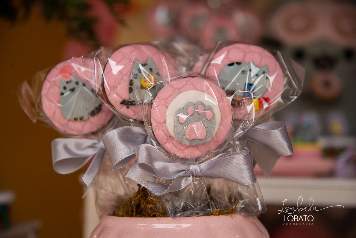 esta-infantil-pusheen-cat-festa-personalizada-aniversario-oito-anos-menina-fotografia-de-aniversario-foto-de-festa-infantil-fotografo-em-barbacena-isabela-lobato-fotografia